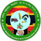 damota wolayta farmers cooperative union